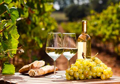 Northern Arizona Private Wine Tour south of Sedona - Verde Valley Wineries