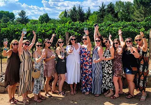 Private Arizona Wine Tasting Tour, A Divine Vine