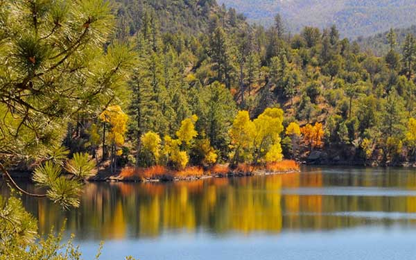 Lynx Lake