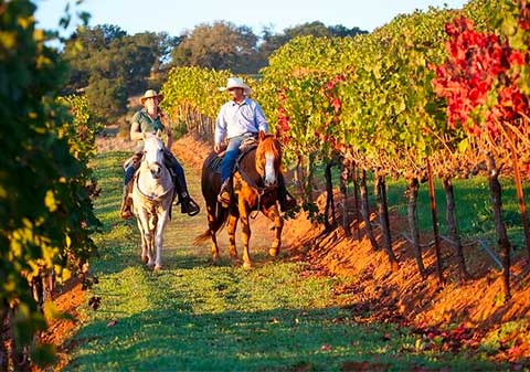 Guided Horseback Tour only 30 mins from Sedona